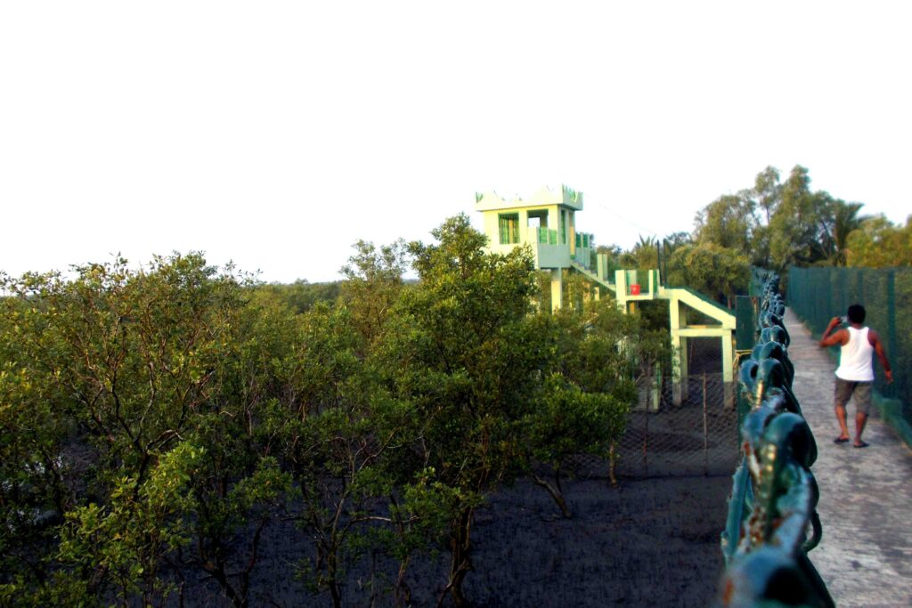 SUNDARBAN DO BANKI WATCH TOWER TOUR