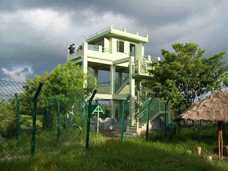 Sudhanyakhali Sundarban Special Tour Package