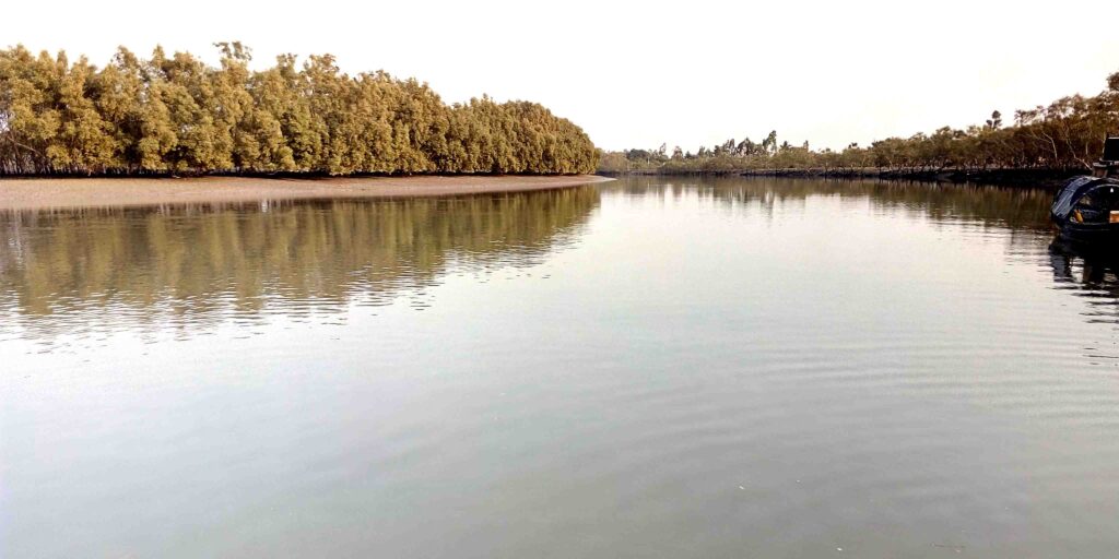 Sundarban Special trip Tour package