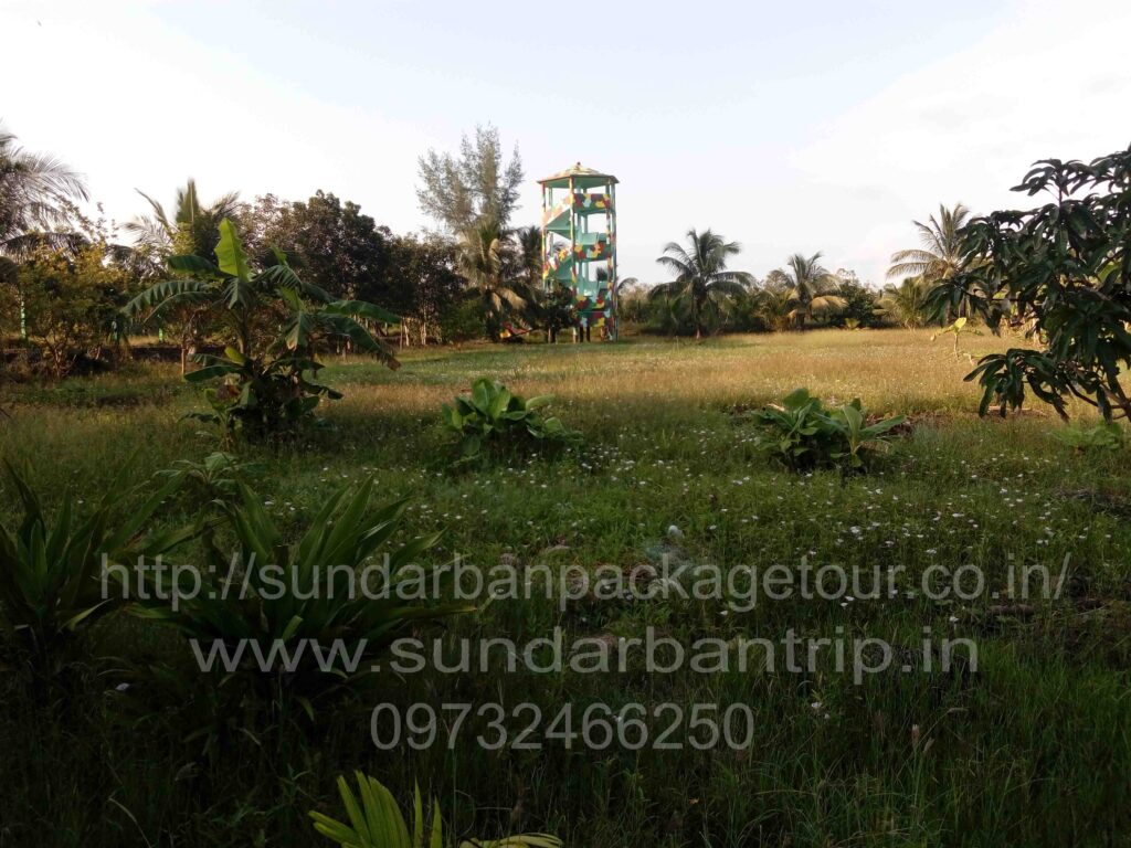 Sundarban Watch Tower
