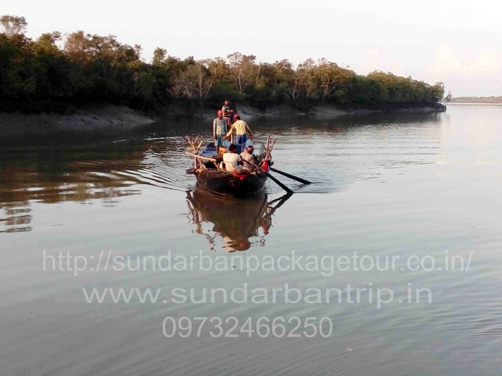 Sundarban Package Trip