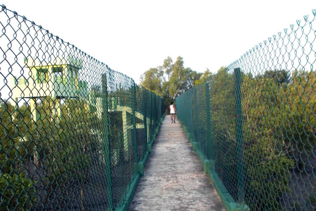 WILD LIFE WATCH WALK TOUR