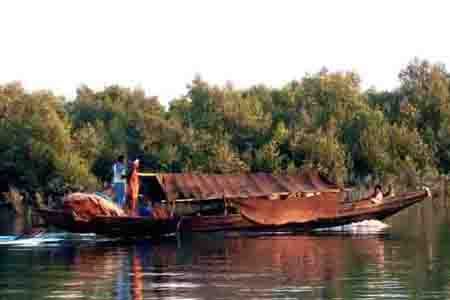 Sundarban Fishing Boat
