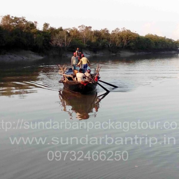 Sundarban Package Trip